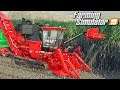Trzcina cukrowa - Farming Simulator 19 | #67