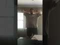 bear in the big blue house . what's that smell . dan's dance video