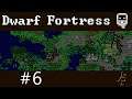 Dwarf Fortress Stream 2020 Nr 6 Ängstlicher Goblin