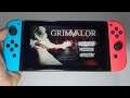 Grimvalor Nintendo Switch handheld gameplay