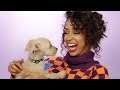 Liza Koshy Plays With Puppies While Answering Fan Questions
