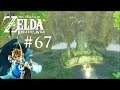 Die Sache mit der Drachenschuppe • The Legend of Zelda: Breath of the Wild #67 ★ Let's Play