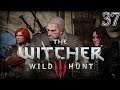 Let's Play The Witcher 3 Wild Hunt Part 37