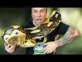 MY 20 FOOT SNAKE DESTROYED HER CAGE!! NOW WHAT?? | BRIAN BARCZYK