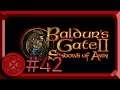 Purveyor of Skins - Baldur’s Gate II (Blind Let's Play) - #42