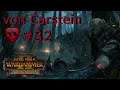TWW2: Mortal Empires - von Carstein #32 - Samá bitva