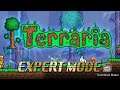 Beenades Vs Destroyer!!!: Terraria Expert Mode EPS 4