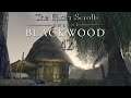 Let's Play ESO - Blackwood [Blind] [Deutsch] Part 42 - Schatten im Sumpf
