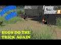 Mercury Farms Ep 79     The chickens did it again     Farm Sim 19