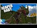 DAX HAS A BABY, OH NO...!, PUGNACIA - Ark Survival Evolved Gameplay Part 12 (2019)