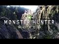 How to Enable/Disable Volume Rendering Quality Monster Hunter World