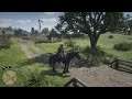 Red Dead Redemption 2 my Horse