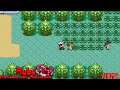 Wally's First Catch!! | Ruby Randomizer Nuzlocke Episode 2 | w/Proxify