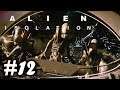 👾 ALIEN ISOLATION #12 | EL FINAL! 😱  | Gameplay Español