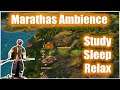 Empire Total War: The Marathas I Ambience I Studying I Sleeping I Chilling I Relaxing I Chill I
