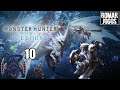 Nargacuga e Opcionais RM 2 e 3 - Monster Hunter World Iceborne #10