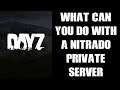 (UPDATED VIDEO LINK IN DESCRIPTION) Nitrado DAY Z Private PS4  Server: What Can You Do & Customise?