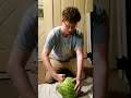 Punching A Watermelon Because My Wife Says I Can't