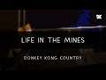Donkey Kong Country: Life in the Mines Arrangement
