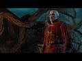 Imlerith Boss Fight bez Quenu jak Chlap , Majster Majstrov Boxu - Najhorší Witcher 3 v Histórii #28