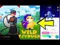 Pokemon Go Shadow Psyduck Catch & Golduck Evolution