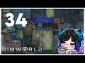 Qynoa plays RimWorld #34