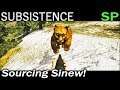 Sourcing Sinew! | Subsistence Single Player Gameplay | EP 86 | Season 5