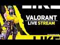 Valorant Indian live stream | Grinding goes on | hindi live stream