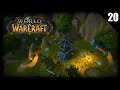 ЯДРЁНАЯ БОМБОЧКА World of Warcraft #20