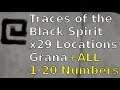 29 Grana Locations Traces of the Black Spirit :Black Desert Online