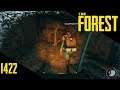 Let's play The Forest: 1422 Seitensucher