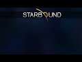 Камень, миротворцы, саркофаг - Starbound