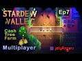 Stardew Valley. Cash Tree farm. Multiplayer Livestream. Ep7