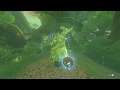 What happens when you collect all korok seeds in Zelda Breath of the Wild