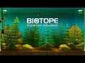 Biotope - Gameplay / Fish Tank Simulator