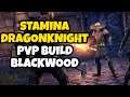 ESO Stamina Dragonknight PvP Build | Venom | Blackwood