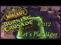 Let's Play World of Warcraft TBC Classic Folge 012 - Felshetzer und Kalirifedern