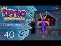 Spyro: Reignited Trilogy [Blind/Livestream] - #40 - Der lange Lauf