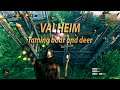 Valheim gameplay - Taming boar and trying to tame deer
