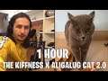 1 HOUR The Kiffness X Alugalug Cat 2.0 (Please Go Away)