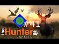 Find the Water, Wary Hunter | theHunter: Classic #41