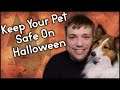 Halloween Pet Safety Tips - Keep Your Puppy Safe - MumblesVideos Pupdate #29