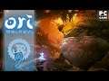 Ori and the Will of the Wisps - Lets Play - 9 - Großer Frosch - [4K60|Deutsch]