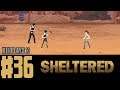 Let's Play Sheltered (Blind) EP36 | The Fisticuffs