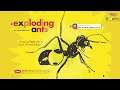 Exploding Ants - Amazing Facts about how Animals Adapt