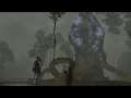 Final Fantasy XIV @LiveCam ( Qitari Beast Tribe Quest 06 )