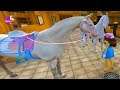 Most Beautiful Horse ! Buying All 6 Akhal-Teke New Horses on Star Stable Online Game