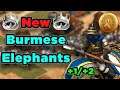 NEW Tanky Burmese Elephants In Action