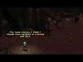 The Mysterious Bridgekeeper in Fallout 2