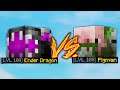 The Pet That RIVALS The Ender Dragon Pet! (Hypixel Skyblock)